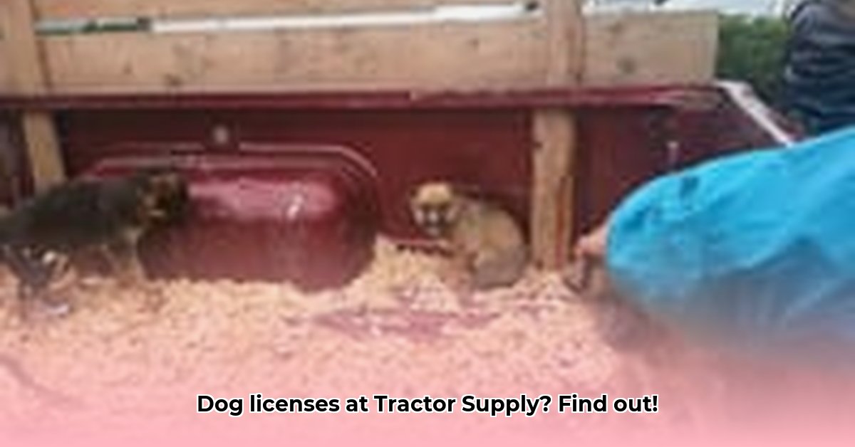 does-tractor-supply-sell-dog-license